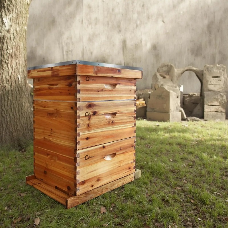 Beehive Frame Wax - Kit Completo per Apicoltura con 10