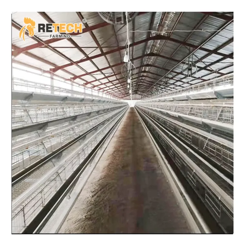 Farming Africa - Gabbia Automatica per Galline Ovaiole Tipo