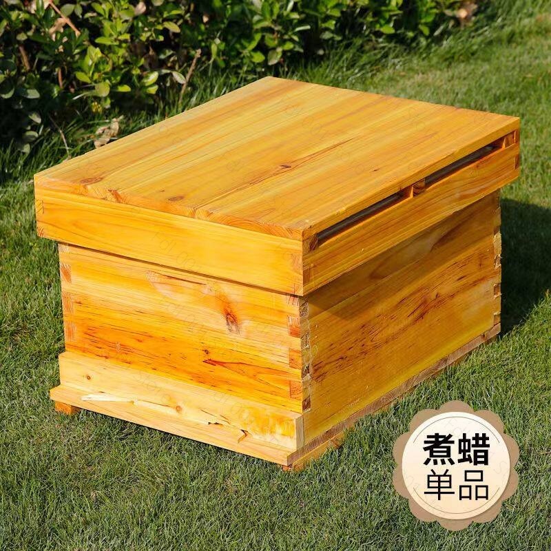 Beehive Frame Wax - Kit Completo per Apicoltura con 10