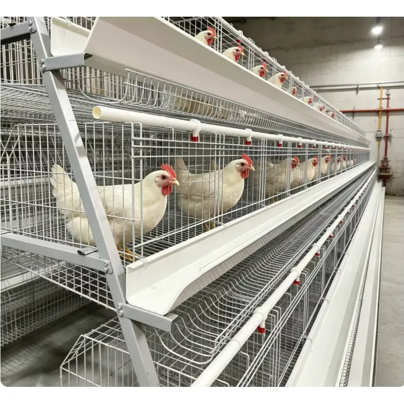 Farming Africa - Gabbia a strati per batterie di