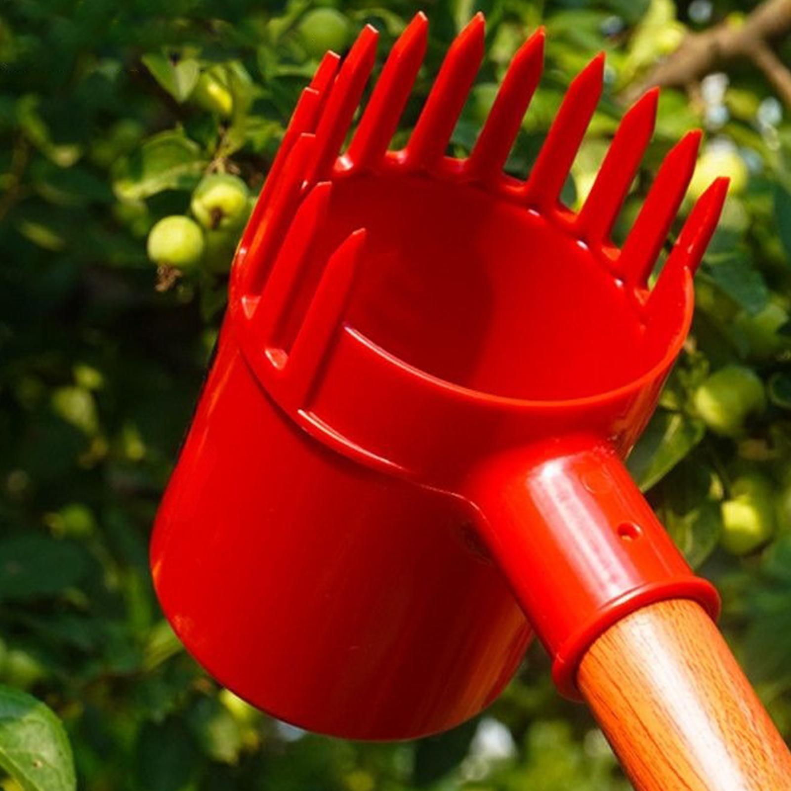 Agriculture Tomato Farming - Raccoglitore di Frutta Portatile, Strumento per