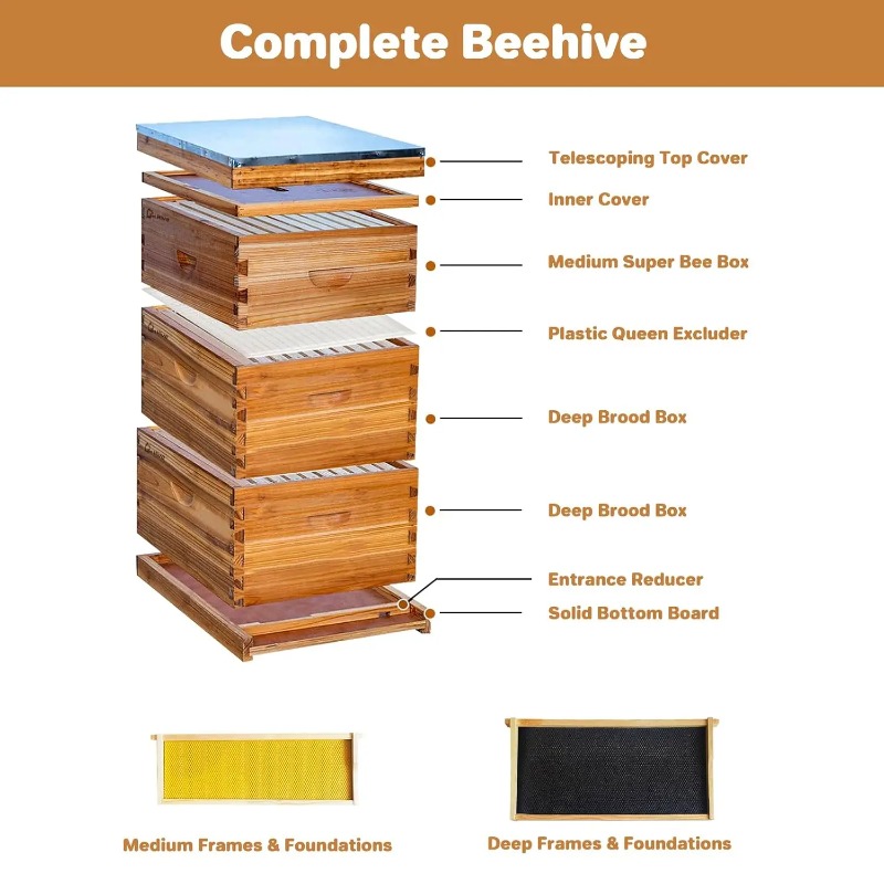 Kit Completo per Apicoltura co - Beehive Frame Wax recensione e prezzo