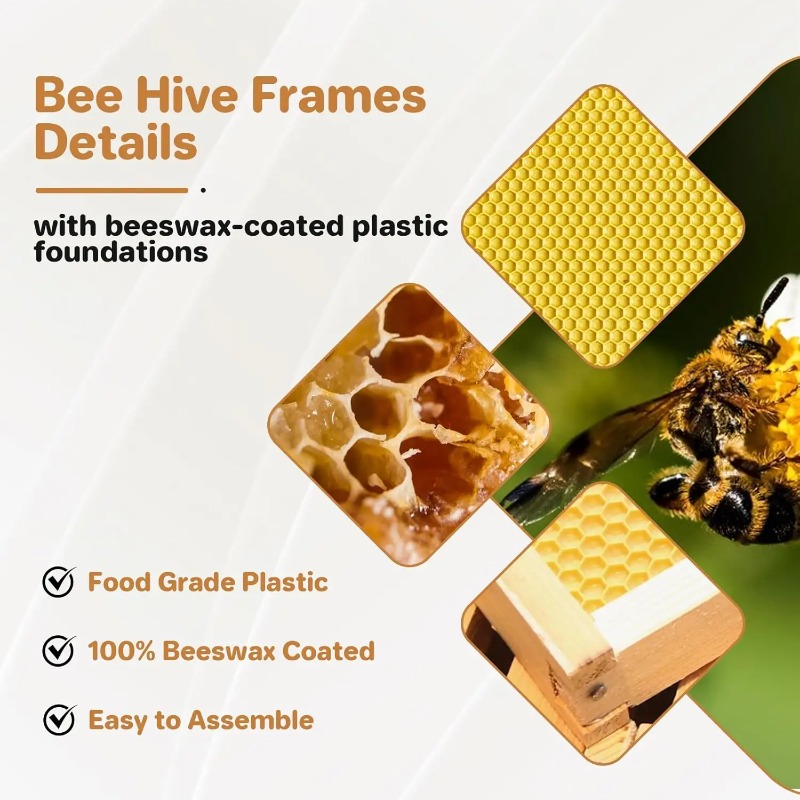 Kit Completo per Apicoltura co - Beehive Frame Wax recensione e prezzo