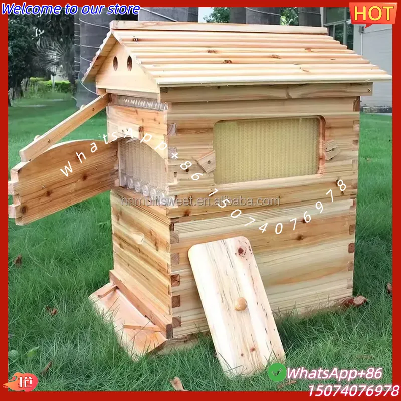 Arnia per api in abete cinese  - Beehive Frame Wax recensione e prezzo