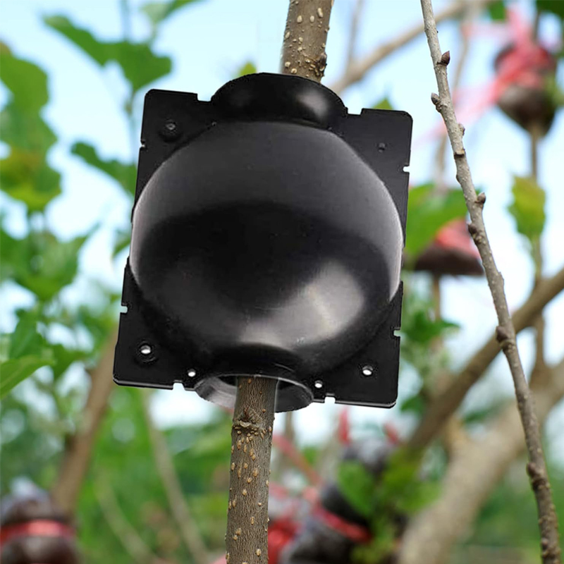 20 Pezzi Contenitori Riutilizz - Plant Growth Regulator recensione e prezzo
