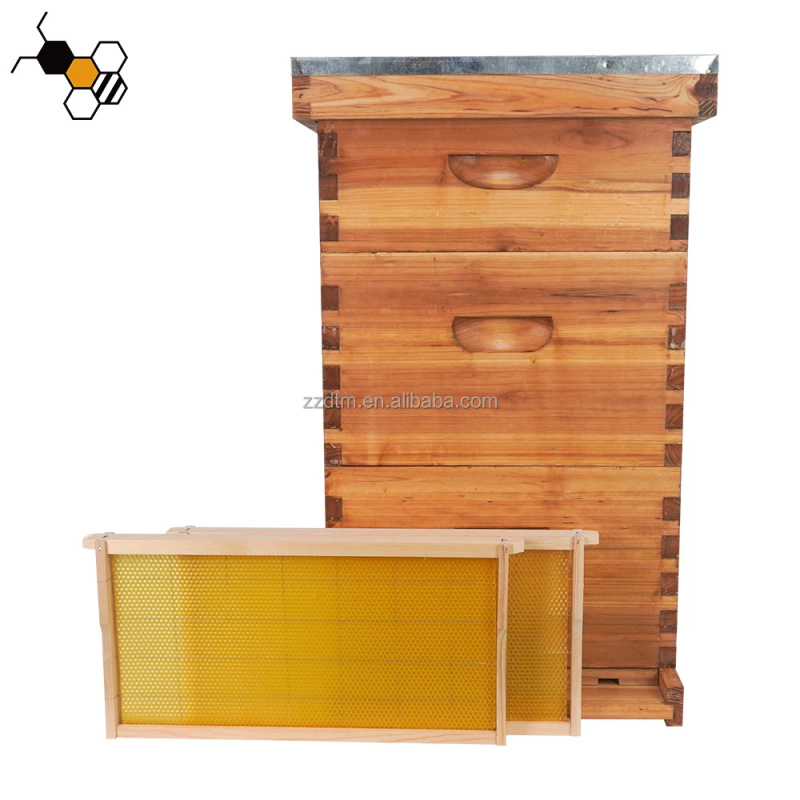 Kit Arnia per Api di Alta Qual - Beehive Frame Wax recensione e prezzo