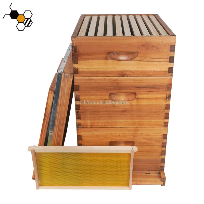Kit Arnia per Api di Alta Qual - Beehive Frame Wax recensione e prezzo
