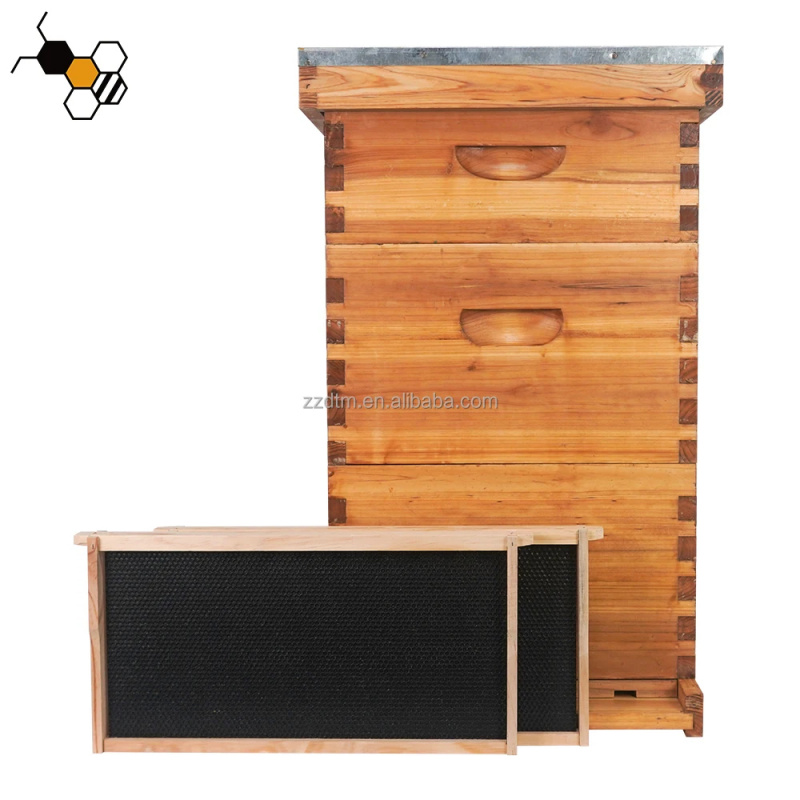 Kit Arnia per Api di Alta Qual - Beehive Frame Wax recensione e prezzo
