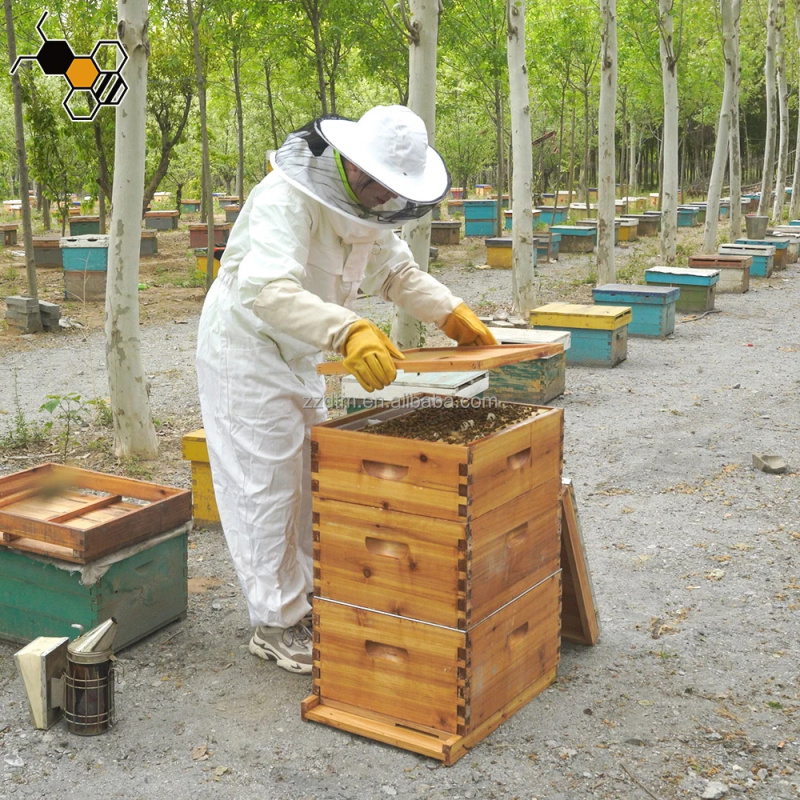 Kit Arnia per Api di Alta Qual - Beehive Frame Wax recensione e prezzo