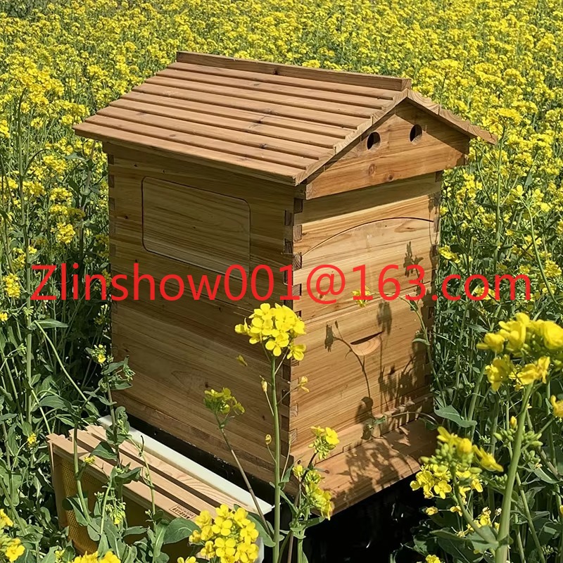 Alveare automatico a prezzo di - Beehive Frame Wax recensione e prezzo