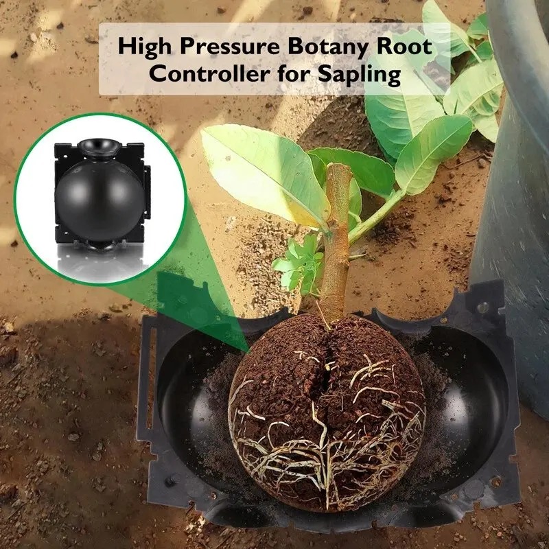 5/30 Pezzi Scatole per la Prop - Plant Growth Regulator recensione e prezzo