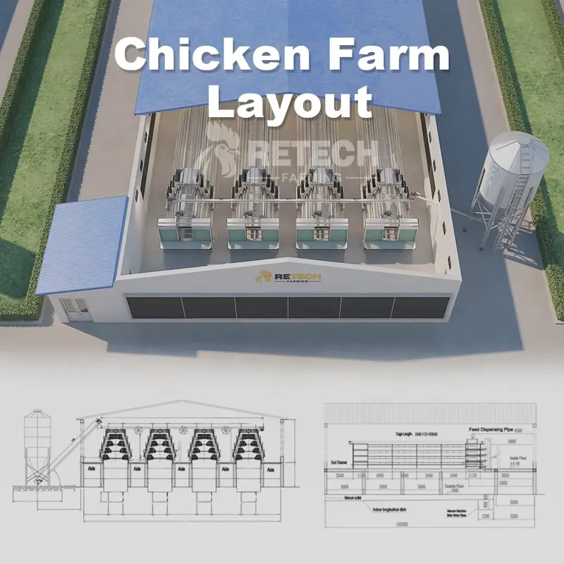 Gabbia Automatica per Galline  - Farming Africa recensione e prezzo