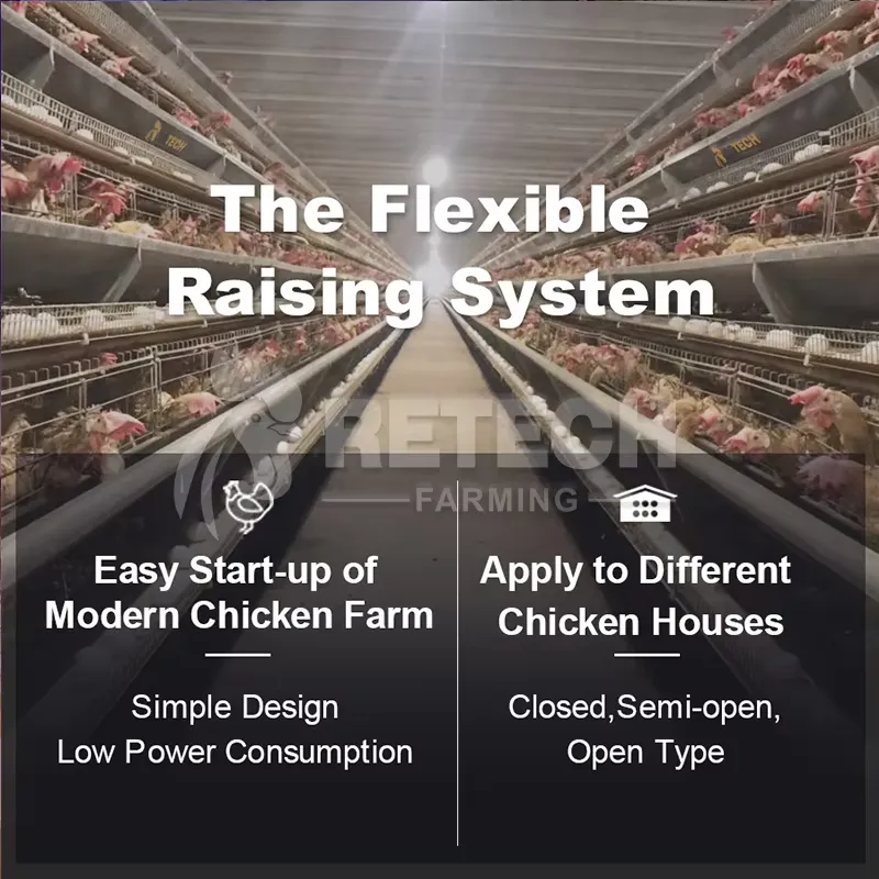 Gabbia Automatica per Galline  - Farming Africa recensione e prezzo