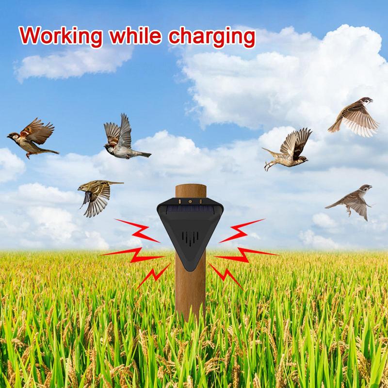 Repellente per uccelli con tim - Solar Bird Scarer recensione e prezzo