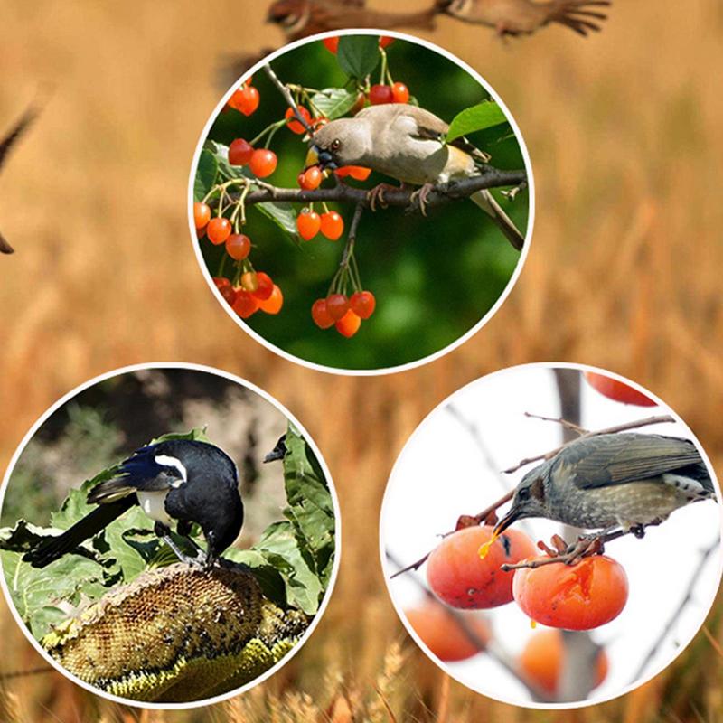 Repellente per uccelli con tim - Solar Bird Scarer recensione e prezzo