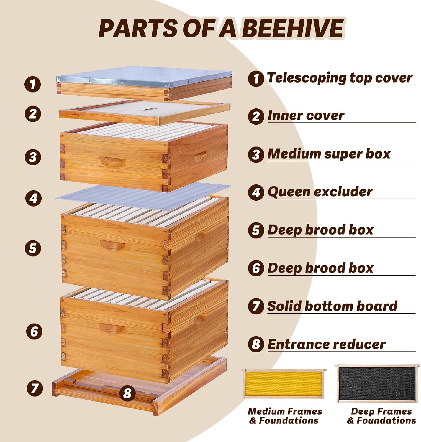 Alveare Langstroth a 10 telai, - Beehive Frame Wax recensione e prezzo