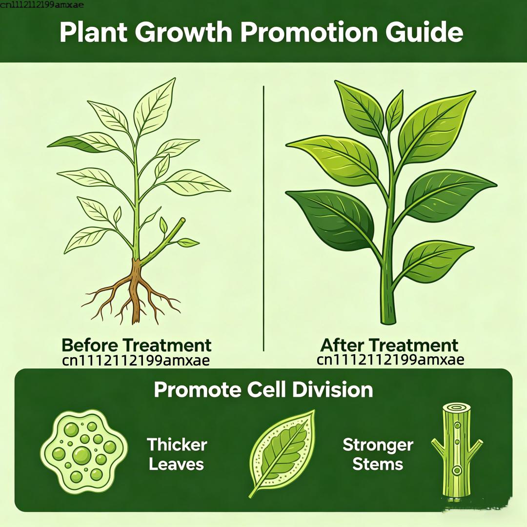 Polvere di Citochinina 6-BA, R - Plant Growth Regulator recensione e prezzo
