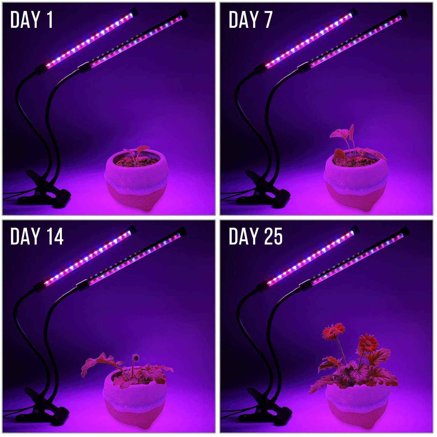 USB LED Pianta Coltiva La Luce - Plant Growth Regulator recensione e prezzo