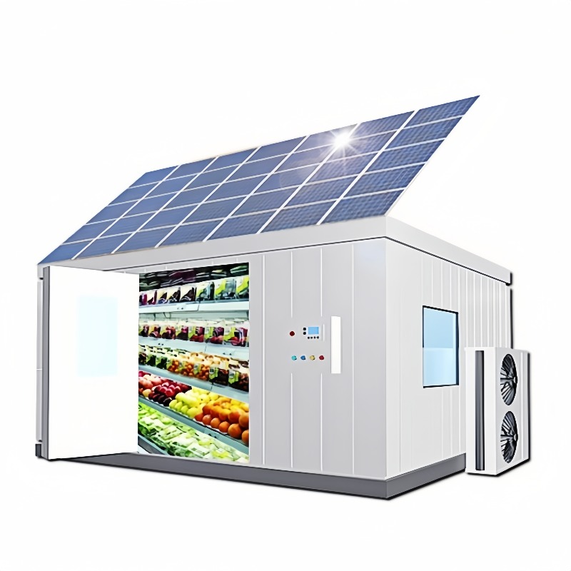 Cella Frigorifera Solare per C - Farming Africa recensione e prezzo