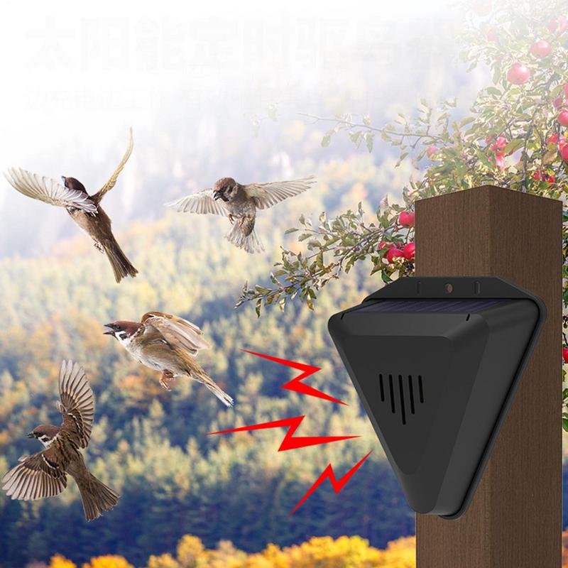 NUOVO timer solare repellente  - Solar Bird Scarer recensione e prezzo