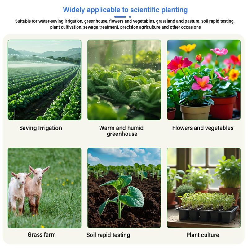 Sensore del Suolo AEE6-8 in Un - Precision Farming Smart Agriculture recensione e prezzo