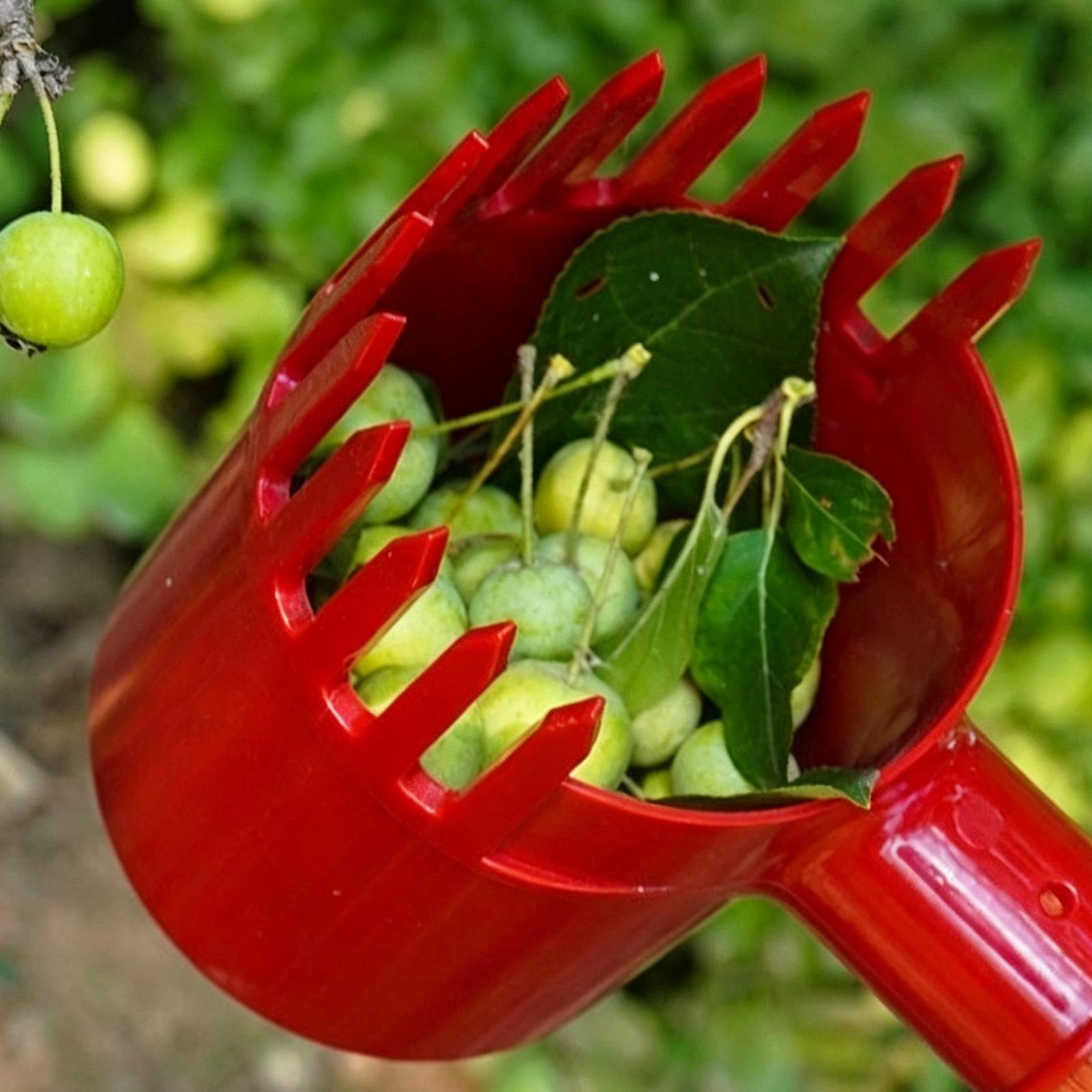 Raccoglitore di Frutta Portati - Agriculture Tomato Farming recensione e prezzo
