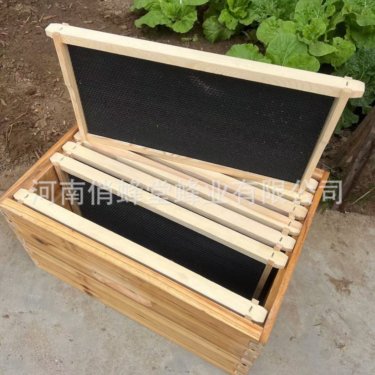 Attrezzi per Apicoltura: Base  - Beehive Frame Wax recensione e prezzo