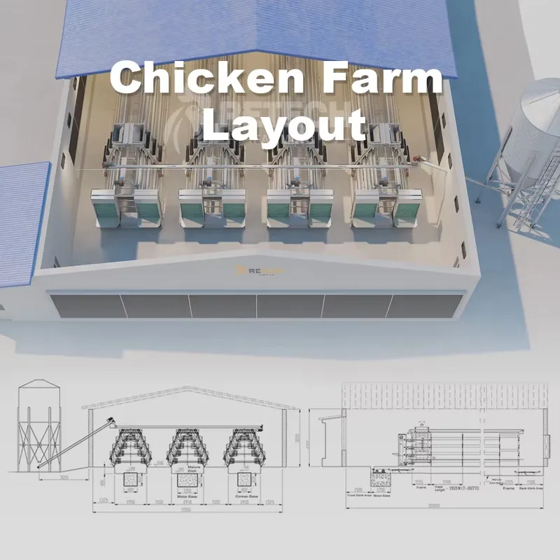 Gabbia Automatica per Galline  - Farming Africa recensione e prezzo