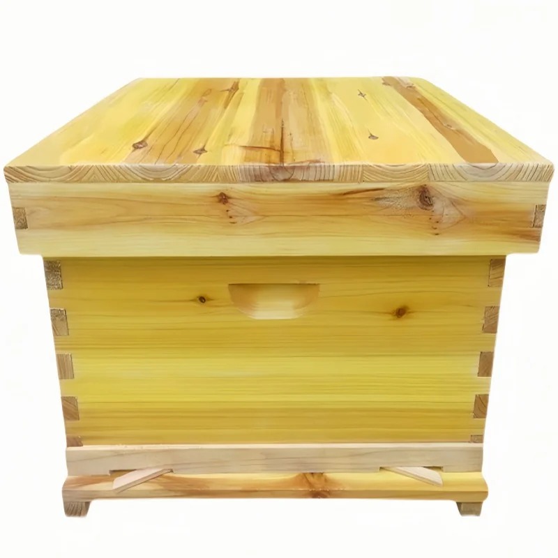 Bee Hive in scatola per api, u - Beehive Frame Wax recensione e prezzo