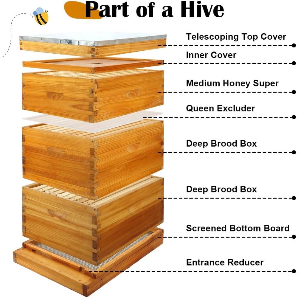 Kit Arnia a 10 Telaini con Fon - Beehive Frame Wax recensione e prezzo