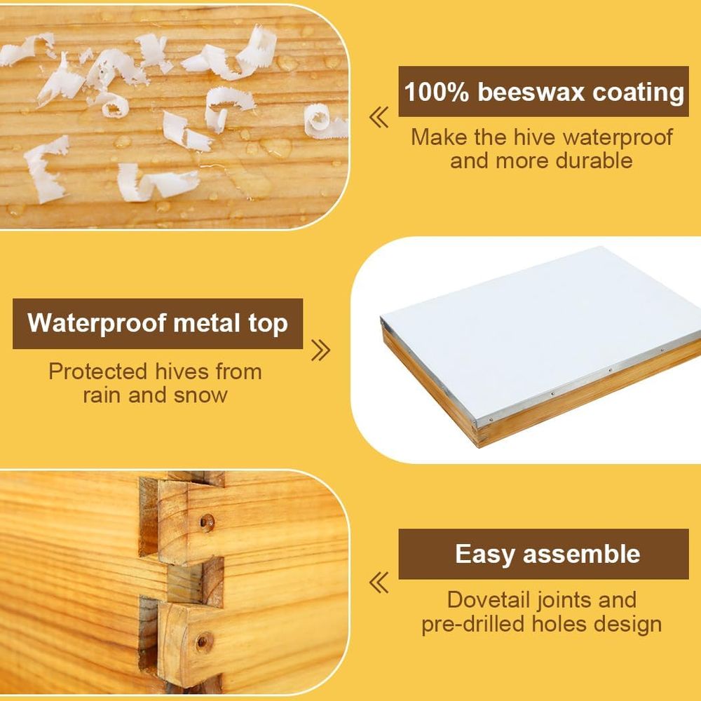 Kit Arnia a 10 Telaini con Fon - Beehive Frame Wax recensione e prezzo