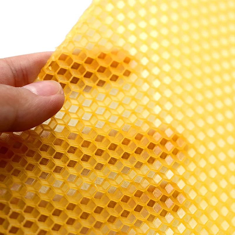 30 pz/pacco Ape Pettine Prodot - Beehive Frame Wax recensione e prezzo