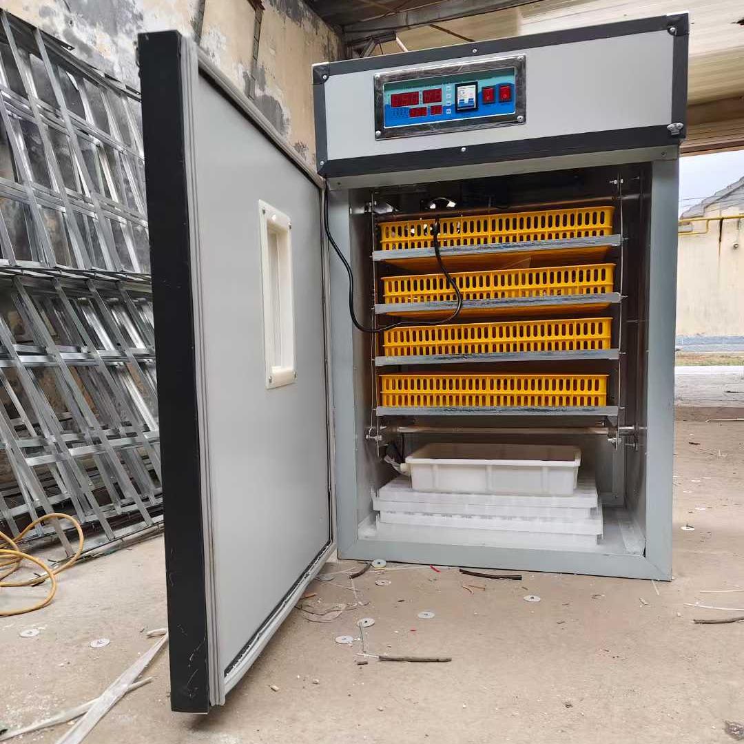 Incubatrice per Uova a Energia - Farming Africa recensione e prezzo