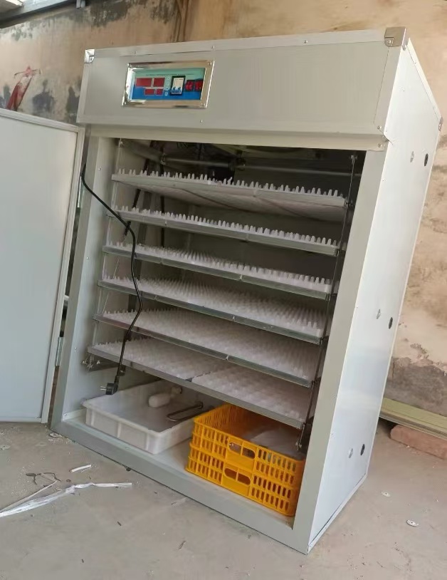 Incubatrice per Uova a Energia - Farming Africa recensione e prezzo