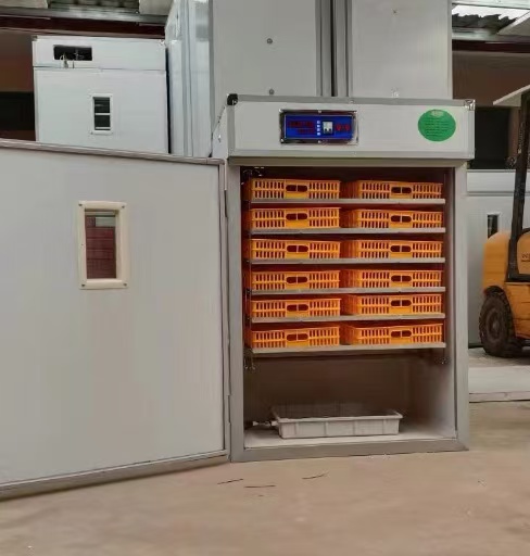 Incubatrice per Uova a Energia - Farming Africa recensione e prezzo