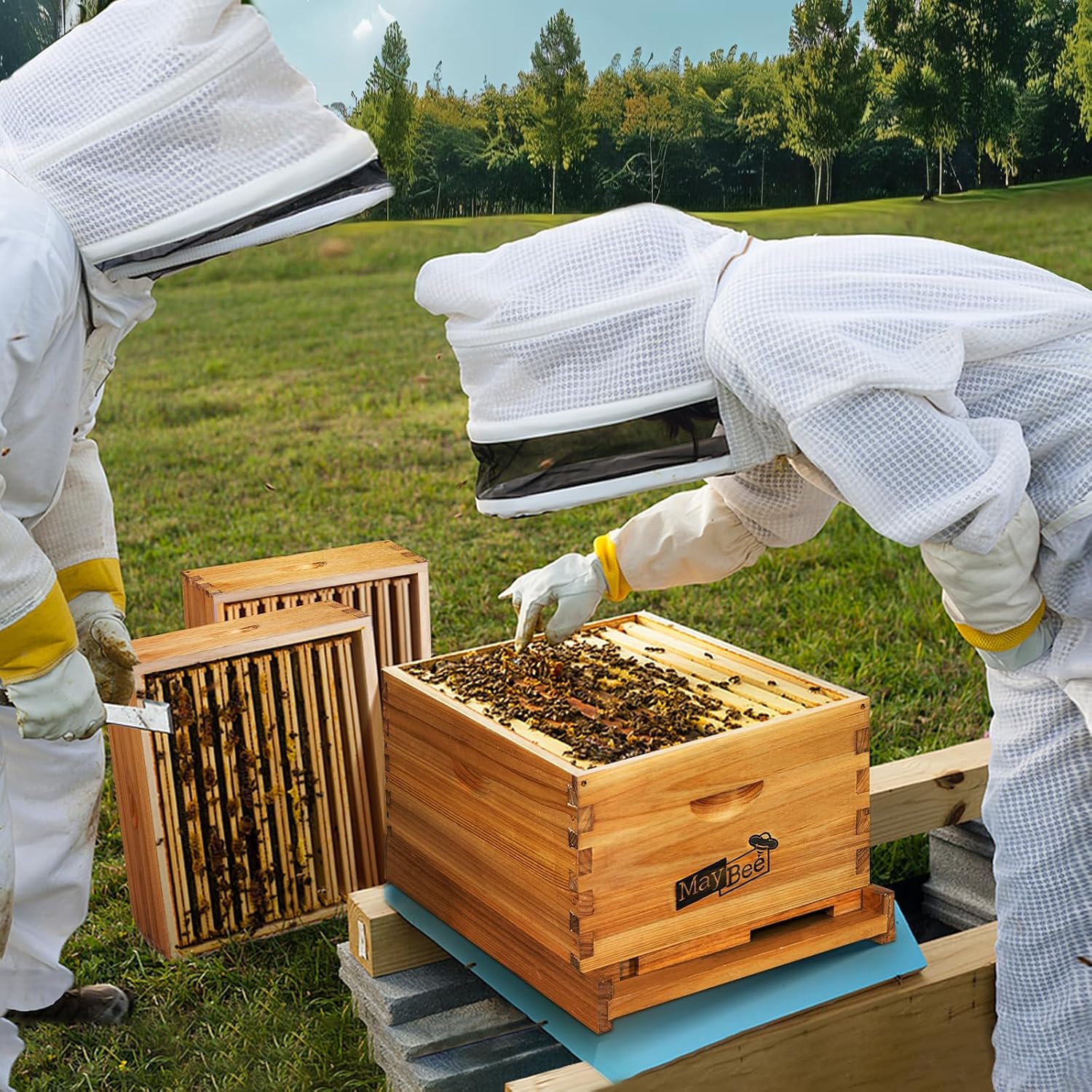 Kit Iniziale per Apicoltura: A - Beehive Frame Wax recensione e prezzo