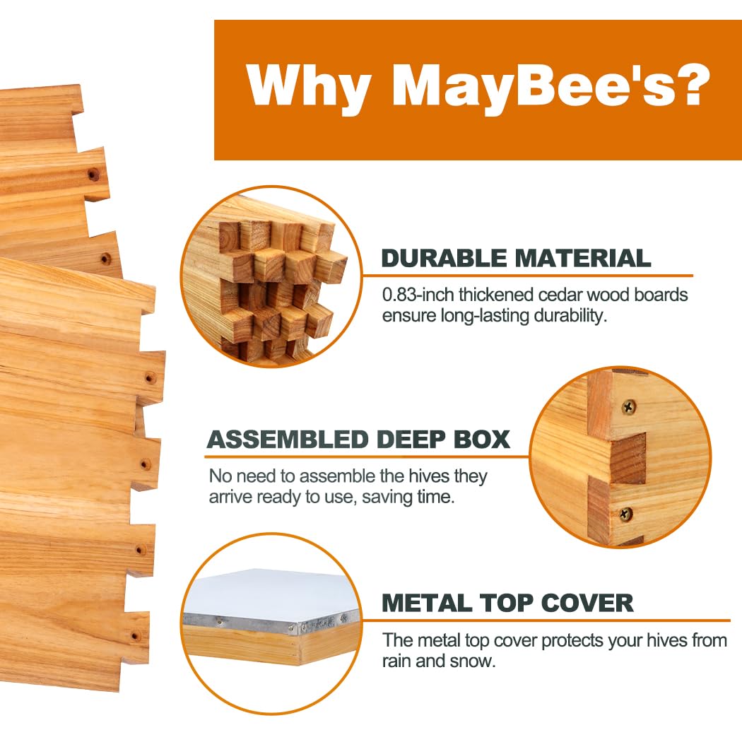 Kit Iniziale per Apicoltura: A - Beehive Frame Wax recensione e prezzo