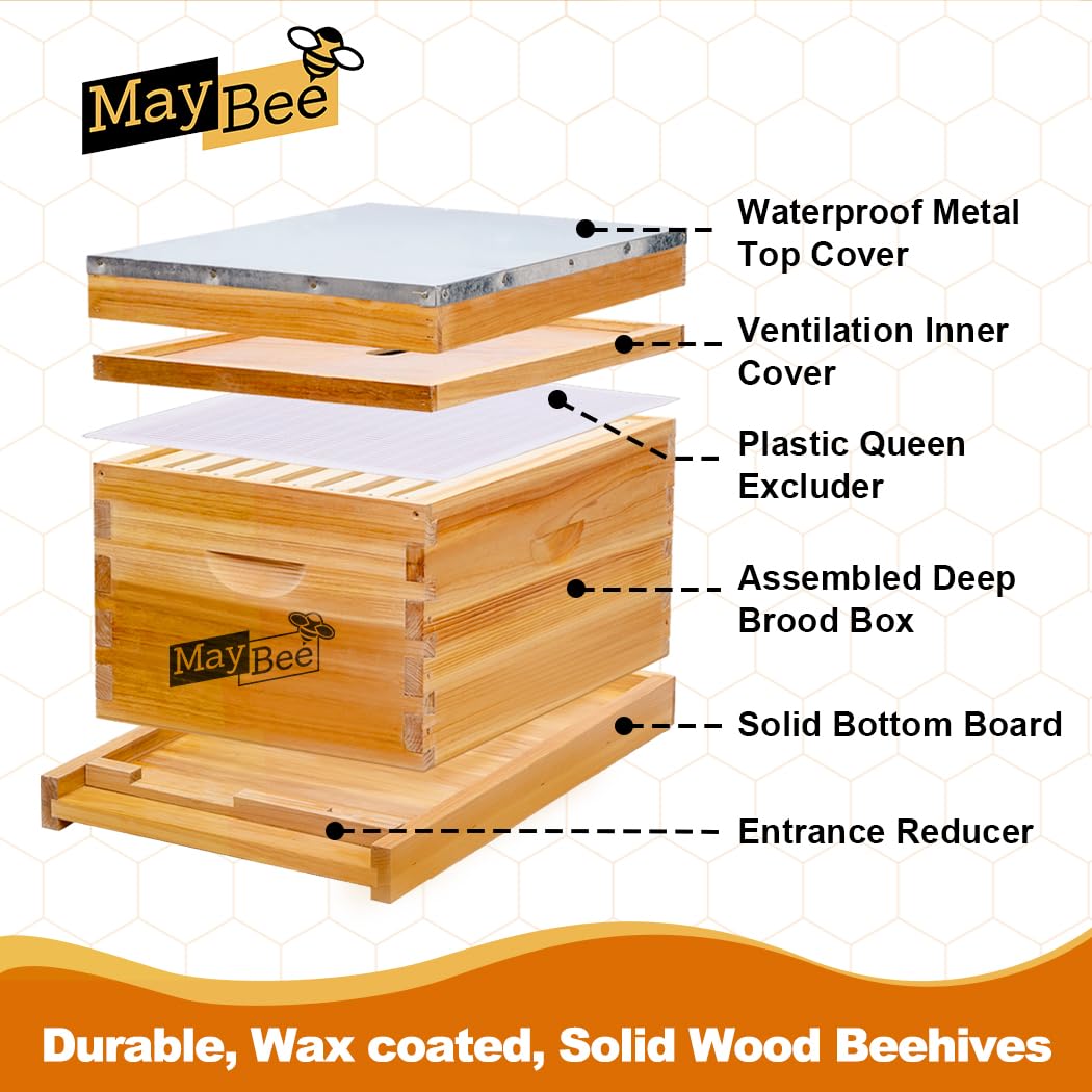 Kit Iniziale per Apicoltura: A - Beehive Frame Wax recensione e prezzo